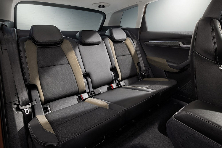 Tại Cộng hòa Séc, Skoda Karoq có khá nhiều loại động cơ, bao gồm cả máy xăng và dầu. Đầu tiên là động cơ xăng TSI 1.0L, sản sinh công suất tối đa 108 mã lực và mô-men xoắn cực đại 200 Nm. Động cơ kết hợp với hộp số sàn 6 cấp, tiêu thụ lượng xăng trung bình 5,7 lít/100 km và giúp xe đạt vận tốc tối đa 191 km/h. 