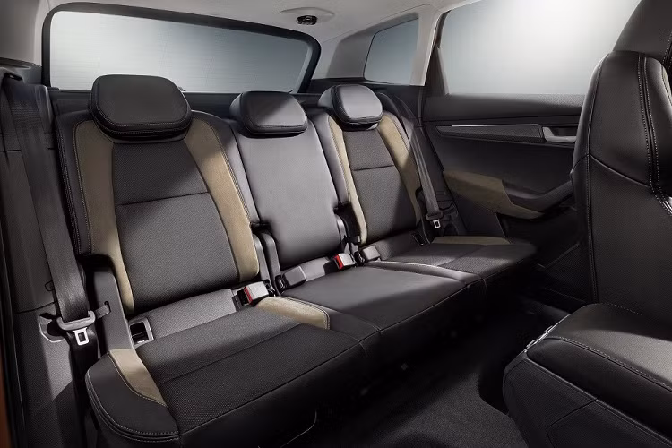 Tại Cộng hòa Séc, Skoda Karoq có khá nhiều loại động cơ, bao gồm cả máy xăng và dầu. Đầu tiên là động cơ xăng TSI 1.0L, sản sinh công suất tối đa 108 mã lực và mô-men xoắn cực đại 200 Nm. Động cơ kết hợp với hộp số sàn 6 cấp, tiêu thụ lượng xăng trung bình 5,7 lít/100 km và giúp xe đạt vận tốc tối đa 191 km/h. 