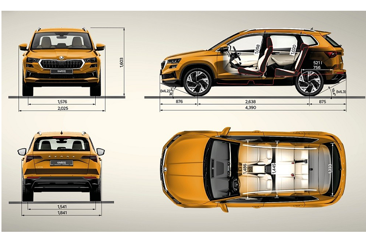 6 mẫu xe Skoda được nhập khẩu nguyên chiếc vào Việt Nam bao gồm Karoq, Kodiaq, Octavia, Superb, Enyaq iV và Enyaq Coupe iV. Trong khi đó, 2 mẫu xe Skoda được lắp ráp tại Việt Nam bao gồm Kushaq và Slavia. Ngay trong năm sau, Skoda sẽ nhập khẩu 4 mẫu xe là Karoq, Kodiaq, Superb và Octavia để bán tại Việt Nam. 