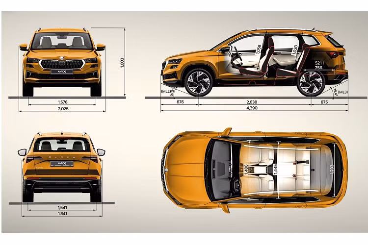 6 mẫu xe Skoda được nhập khẩu nguyên chiếc vào Việt Nam bao gồm Karoq, Kodiaq, Octavia, Superb, Enyaq iV và Enyaq Coupe iV. Trong khi đó, 2 mẫu xe Skoda được lắp ráp tại Việt Nam bao gồm Kushaq và Slavia. Ngay trong năm sau, Skoda sẽ nhập khẩu 4 mẫu xe là Karoq, Kodiaq, Superb và Octavia để bán tại Việt Nam. 