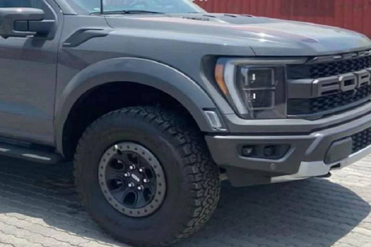 Mặc dù tại Việt Nam có phân phối dòng bán tải cỡ lớn hiệu năng cao, chính là mẫu RAM TRX 1500, tuy nhiên Ford F-150 Raptor 2022 sẽ được ưa chuộng hơn vì nhiều yếu tố trong đó là giá “mềm” hơn do dùng động cơ dung tích thấp hơn, kiểu dáng hấp dẫn và tên tuổi nhiều người biết đến tạo nên lợi thế “dễ mua dễ bán”.