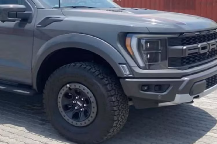 Mặc dù tại Việt Nam có phân phối dòng bán tải cỡ lớn hiệu năng cao, chính là mẫu RAM TRX 1500, tuy nhiên Ford F-150 Raptor 2022 sẽ được ưa chuộng hơn vì nhiều yếu tố trong đó là giá “mềm” hơn do dùng động cơ dung tích thấp hơn, kiểu dáng hấp dẫn và tên tuổi nhiều người biết đến tạo nên lợi thế “dễ mua dễ bán”.