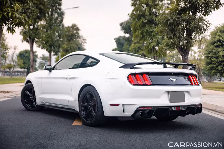 Bằng chứng là những phiên bản của “ngựa hoang” Ford Mustang thế hệ mới nhất cho đến các bản nâng cấp mạnh mẽ đều liên tục cập bến nước ta thông qua các đơn vị nhập khẩu tư nhân.