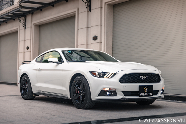 Tại Việt Nam, Ford Mustang được biết đến là một mẫu xe thể thao hai cửa có số lượng người chơi khá đông đảo. Hầu hết những chiếc Mustang đang có mặt trong nước thuộc thế hệ thứ 6 được sản xuất từ năm 2014 đến nay và sắp bị thay thế bởi thế hệ mới nhất vào năm 2023.