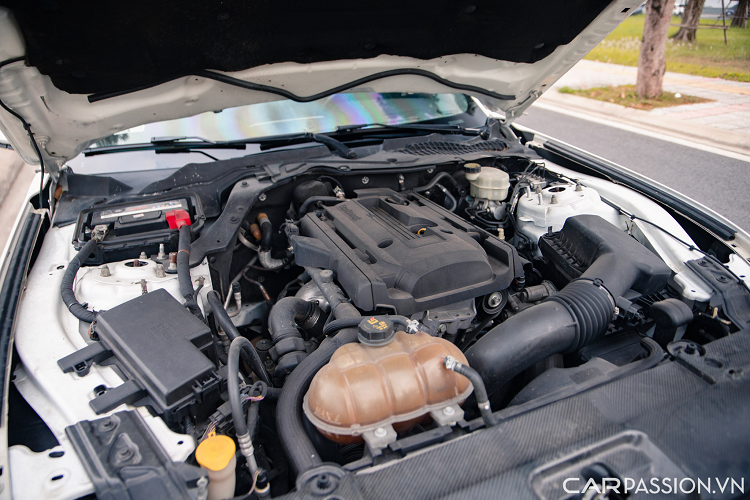 Hệ thống giải trí trang bị trên xe gồm có hệ thống âm thanh 9 loa cùng radio vệ tinh và hệ thống giải trí Sync 3 (gồm 1 màn hình cảm ứng 8 inch và chức năng ra lệnh bằng giọng nói) cùng với hệ thống định vị và ứng dụng Track Apps, giúp hành khách có nhiều trải nghiệm thú vị.