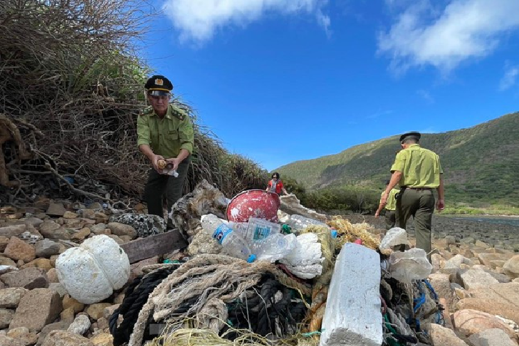 Hòn Bảy Cạnh (thuộc Vườn Quốc Gia Côn Đảo) là nơi có rùa lên bờ đẻ trứng nhiều nhất ở Việt Nam, việc này ảnh hưởng khá nhiều đến quá trình phát triển của rùa con. Khi rác trôi dạt trên biển và lẫn vào các đám rong rêu và bãi san hô, rùa mẹ và rùa con sẽ tưởng những túi nilông là thức ăn, ăn vào và không thể tiêu hóa được.