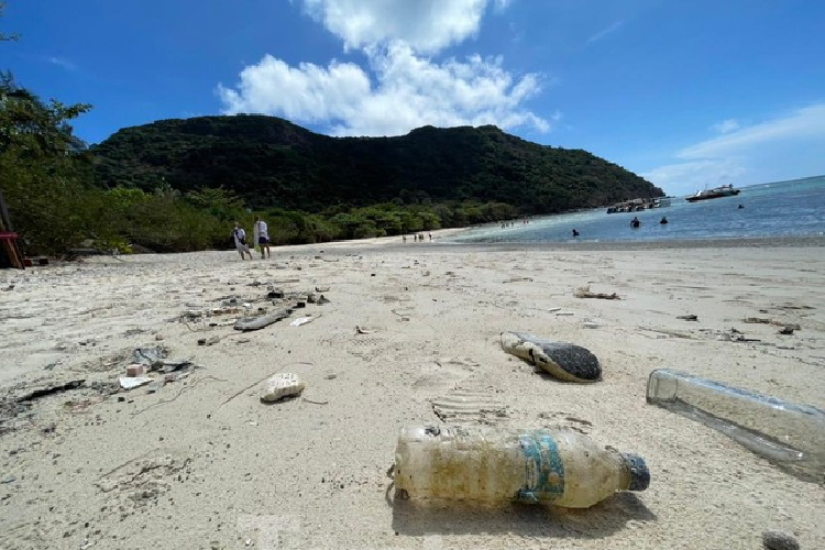Hòn Bảy Cạnh là bãi đẻ lớn nhất và có số lượng rùa mẹ lên đẻ trứng nhiều nhất Việt Nam nhưng trong những năm gần đây, rác thải, nhất là rác thải nhựa là một trong những vấn đề nan giải không chỉ của chính quyền huyện Côn Đảo, mà còn là sự lo lắng lớn cho việc đẻ trứng, sinh trưởng của rùa con. 