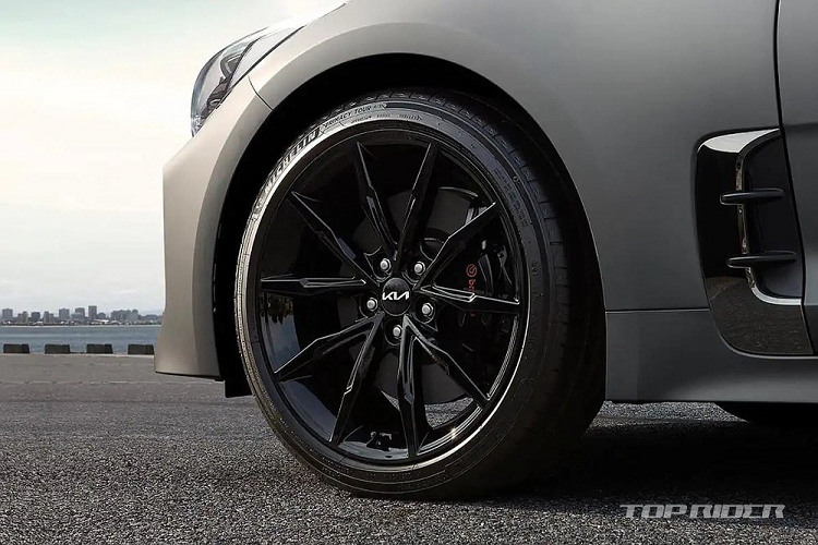 Để tri ân Stinger, hãng Kia đã tung ra phiên bản đặc biệt cuối cùng của mẫu xe này với tên gọi Tribute Edition. Dự kiến được bán ra thị trường vào năm sau, Kia Stinger Tribute Edition có số lượng sản xuất chỉ giới hạn đúng 1.000 chiếc xe trên toàn cầu.