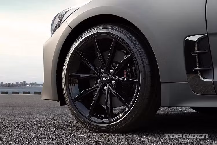 Để tri ân Stinger, hãng Kia đã tung ra phiên bản đặc biệt cuối cùng của mẫu xe này với tên gọi Tribute Edition. Dự kiến được bán ra thị trường vào năm sau, Kia Stinger Tribute Edition có số lượng sản xuất chỉ giới hạn đúng 1.000 chiếc xe trên toàn cầu.