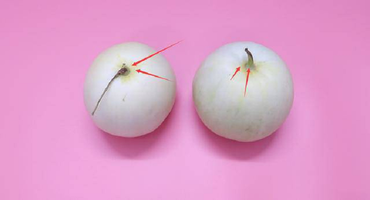 Mua dua le, chon qua ron to hay nho thi ngot, nguoi trong mach bi kip it nguoi biet-Hinh-4