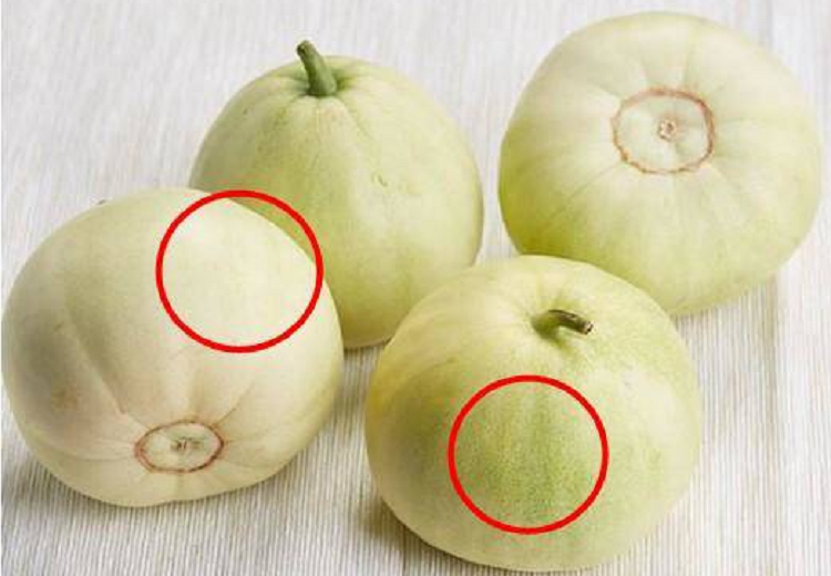 Mua dua le, chon qua ron to hay nho thi ngot, nguoi trong mach bi kip it nguoi biet