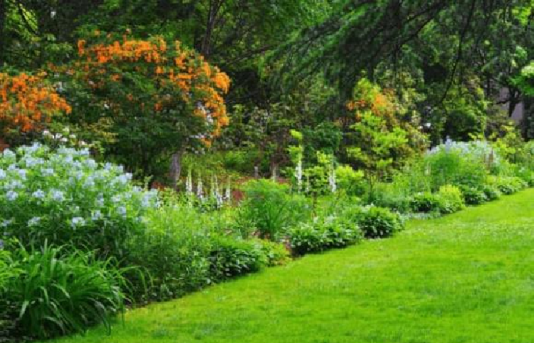 Tất nhiên, họ cũng có vượng khí mạnh mẽ, mẹ chồng giàu có rất thích họ. Vì vậy, dù là nam hay nữ thì họ sẽ giàu sang phú quý cả đời. (Bài viết mang tính chất tham khảo, chiêm nghiệm).