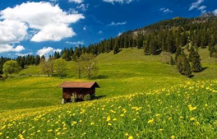 Vì vậy, bạn có thể tạo ra sự khác biệt khi còn trẻ, và tương lai sẽ thuận buồm xuôi gió. Ngoài ra, họ vốn là người giỏi giao tiếp, lại rất giỏi điều khiển thế sự nên cuộc đời họ sẽ không thiếu tiền bạc, của cải và quyền lực, đời này họ có số mệnh phú quý. 