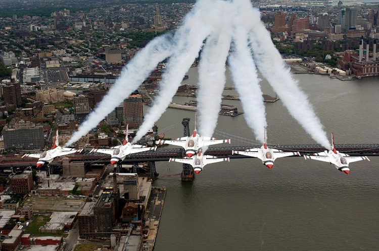 Nhung tham hoa hang khong kinh hoang do chim gay ra-Hinh-6