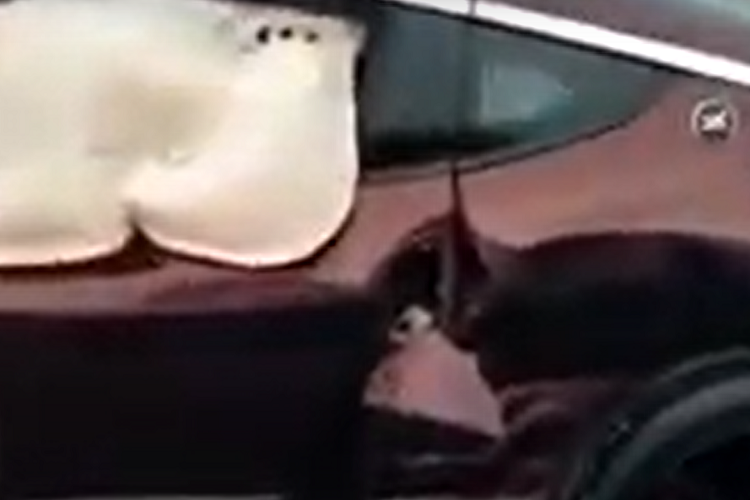 Vì cung không đủ cầu nên Nissan Z 2023 hiện đang bị "đội giá" tại đại lý. Thậm chí, có đại lý còn bán chiếc Nissan Z Proto Spec 2023 với giá gấp đôi mức niêm yết của hãng, lên đến 129.991 USD (khoảng 2,98 tỷ đồng). So với các bản trang bị khác, Nissan Z Proto Spec 2023 hiếm hơn với số lượng đúng 240 chiếc xuất xưởng.