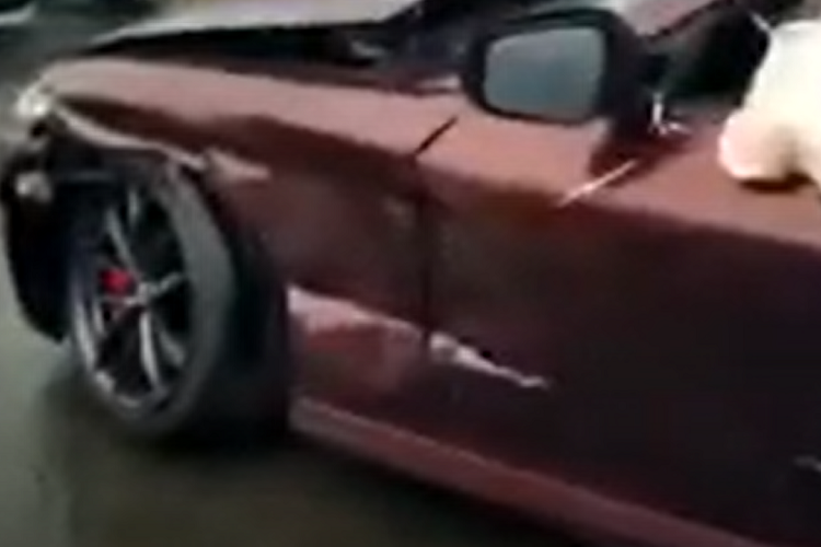 Mặc dù phiên bản Performance này có khóa vi sai hạn chế trượt ở bánh sau nhưng tai nạn vẫn có thể xảy ra. Sau khi xem đoạn video quay hiện trường vụ tai nạn, nhiều người đã bày tỏ sự tiếc nuối vì chiếc xe còn quá mới. Đó là chưa kể đến việc nhiều khách hàng hiện muốn sở hữu Nissan Z 2023 nhưng còn chẳng có xe để mua.