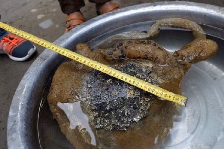 Thay nam la moc giua ao dung voi nho bo