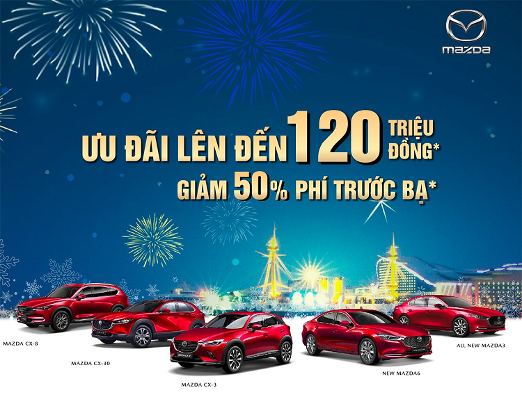 Can Tet hang loat xe oto giam gia, cao nhat hon 200 trieu dong-Hinh-6