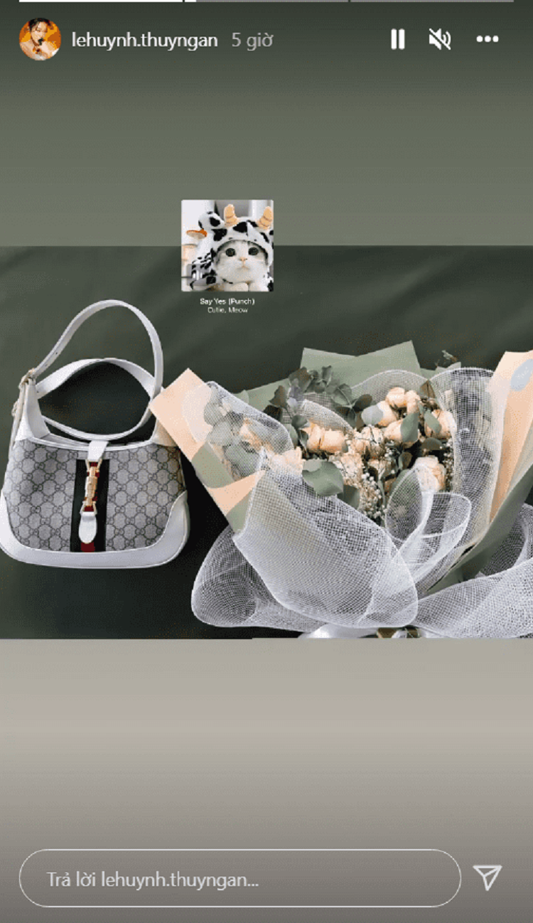 Thuy Ngan bat ngo khoe mon qua cuc xin xo tu 'nguoi ay'-Hinh-2