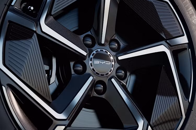 Tùy thuộc vào từng biến thể, BYD Seal có trọng lượng từ 1.885 kg đến 2.150 kg. Truyền thông địa phương cho biết giá xe BYD Seal 2023 sẽ từ 220.000-280.000 NDT (34.500-44.000 USD), rẻ hơn rất nhiều so với Tesla Model 3 (giá khởi điểm từ 339.900 NDT (53.400 USD) ở Trung Quốc).