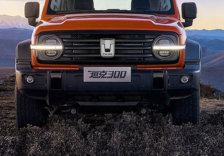 Trong khi đó, mẫu xe này ở thị trường Trung Quốc được trang bị động cơ xăng 4 xi-lanh, tăng áp, dung tích 2.0L, sản sinh công suất tối đa 227 mã lực tại tua máy 5.500 vòng/phút và mô-men xoắn cực đại 387 Nm tại dải tua máy 1.800 - 3.600 vòng/phút. Động cơ kết hợp với hộp số tự động 8 cấp, cho phép xe đạt vận tốc tối đa 170 km/h. Ngoài ra, TANK 300 tại Trung Quốc còn có 9 chế độ lái.