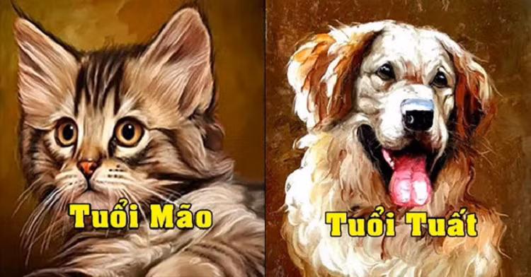 Tuổi Tuất. Theo tử vi 12 con giáp, người tuổi Tuất có đầu óc tinh tế, thông minh. Năm Nhâm Dần là cơ hội rất tốt để họ phát triển, gặp nhiều may mắn trong sự nghiệp, cuộc sống cũng đỡ áp lực hơn.