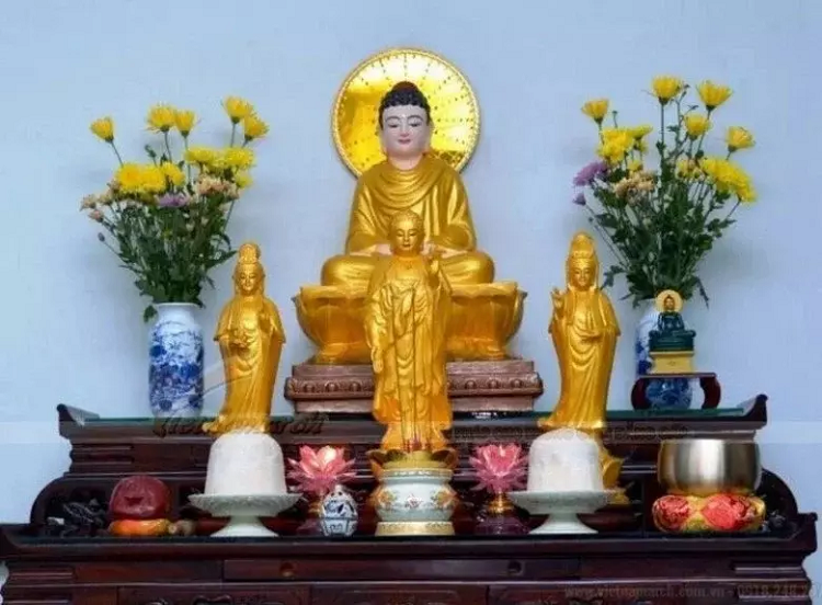 5 thu cang dung im cang co loc, di chuyen la tai loc dut doan-Hinh-2