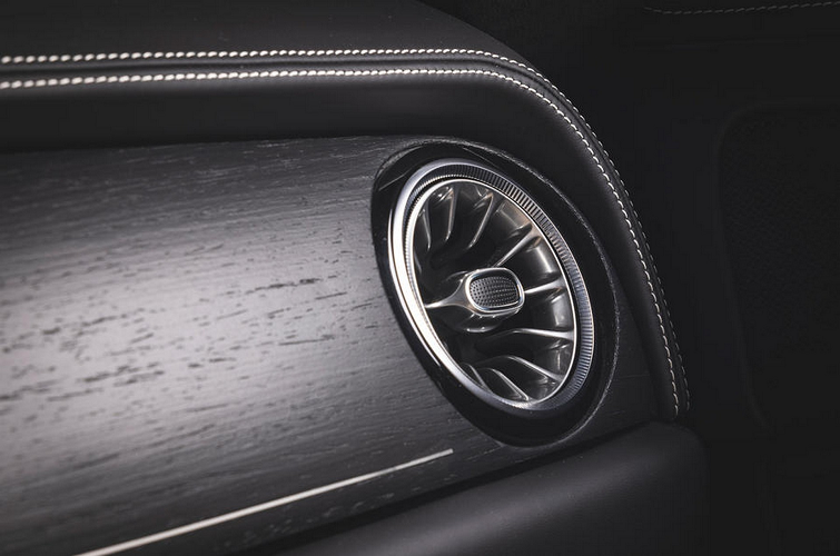 Chủ sở hữu xe cũng đã đặt mua chiếc Speedback Silverstone Edition với bộ đồ dã ngoại được chính David Brown Automotive thiết kế để có thể đặt gọn trong cốp sau của xe. Bộ đồ dã ngoại này bao gồm một tấm chăn len tùy chỉnh, hộp đựng chai rượu whisky bằng da và bình trang trí bằng da, các chi tiết này đều được cố định trong hộp đồ dã ngoại bằng dây đai da.