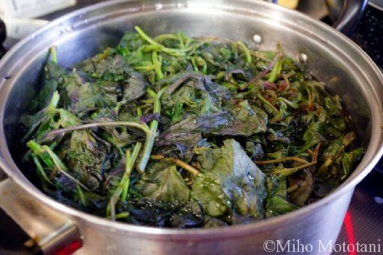 Người Nhật chỉ cách nấu loại nước hồi phục sinh lực sau COVID-19 - Hình 3 Nguoi Nhat chi cach nau loai nuoc hoi phuc sinh luc sau COVID-19-Hinh-3