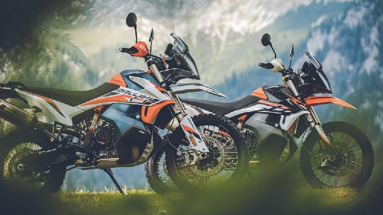 Xe hai banh lap nhieu ky luc doanh so trong nam 2021-Hinh-3