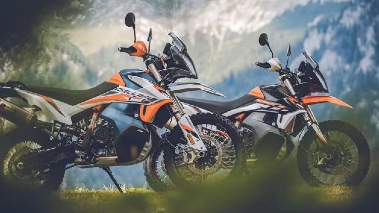 Xe hai banh lap nhieu ky luc doanh so trong nam 2021-Hinh-3