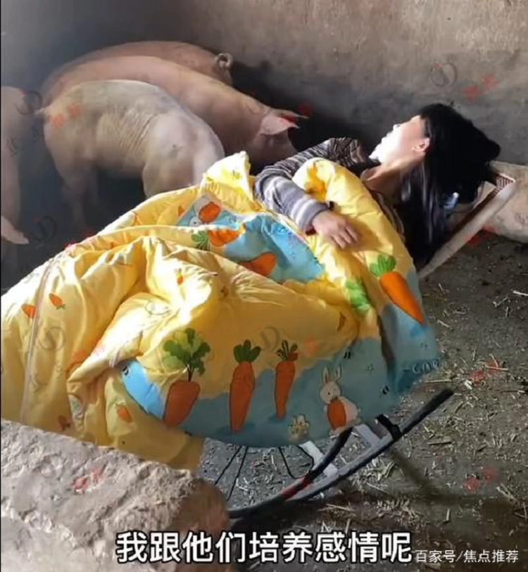 Co gai xinh xan thich ngu trong chuong lon, mua hat cho 'dan con' nghe-Hinh-2