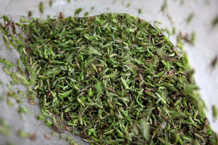 Mùa châu chấu cốm thường kéo dài từ tháng 2 đến hết tháng 8