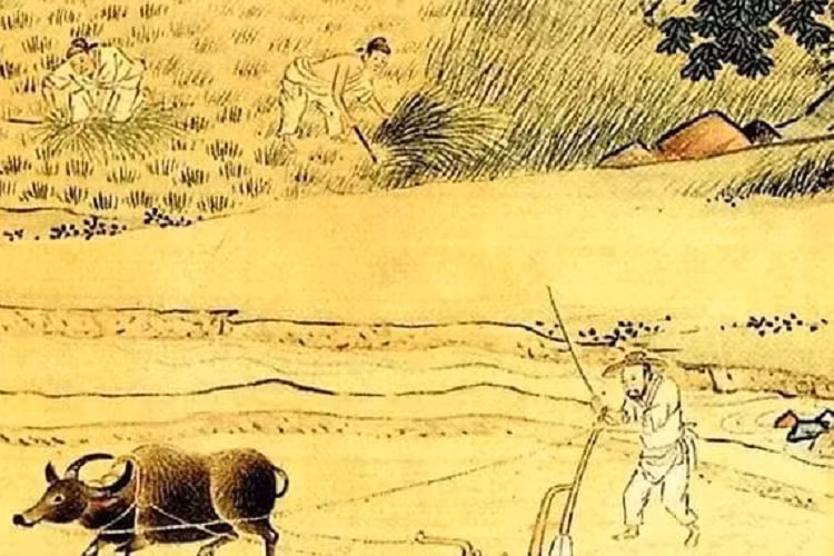 Nguoi xua noi 'dan ong khong deo vang, phu nu khong deo bac'?-Hinh-2