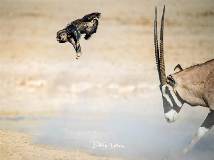 Bi choc tuc, linh duong day lung mat biet the nao la giang ho-Hinh-4