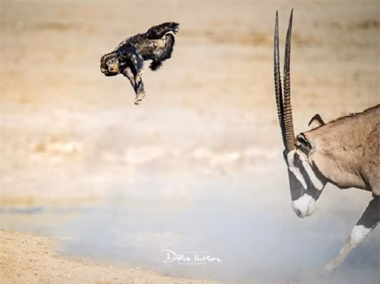 Bi choc tuc, linh duong day lung mat biet the nao la giang ho-Hinh-4