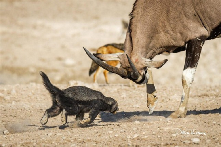 Bi choc tuc, linh duong day lung mat biet the nao la giang ho-Hinh-3