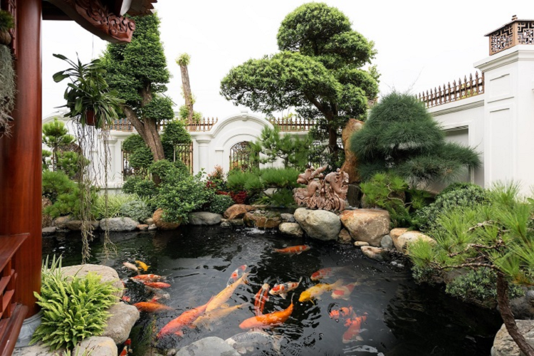 Choang ngop biet thu hoa lan “Nam Canh Trang” rong 1000m2 cua dai gia Bac Ninh-Hinh-3