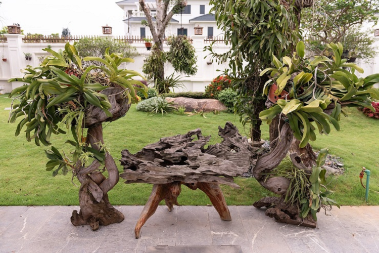 Choang ngop biet thu hoa lan “Nam Canh Trang” rong 1000m2 cua dai gia Bac Ninh-Hinh-5