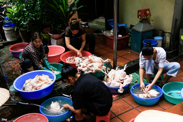 Hàng chục con gà được người làm rửa sạch mỗi ngày. Nhưng để đảm bảo hơn về chất lượng quán này phải xát muối, gừng để khử hôi thêm một lần nữa.