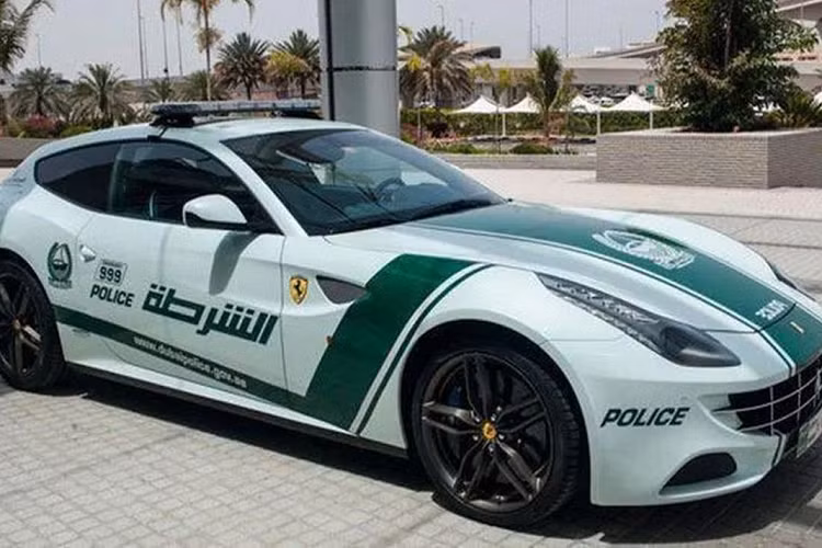 Ferrari FF cho cảnh sát Dubai là một trong số ít những chiếc siêu xe được sử dụng và cũng là chiếc xe duy nhất trong hàng ngũ những chiếc siêu xe cảnh sát do nữ sỹ quan cảnh sát điều khiển.