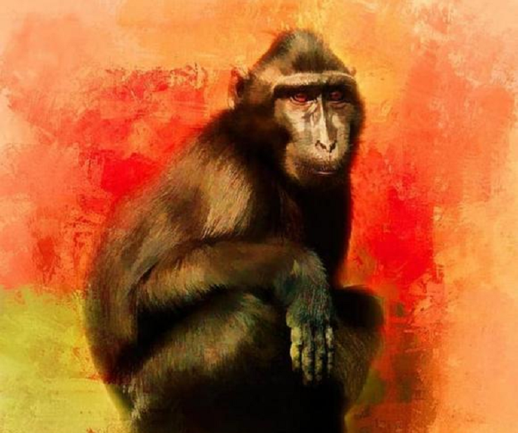 Than Tai ban loc, 3 con giap van khi hanh thong trong 45 ngay toi-Hinh-2