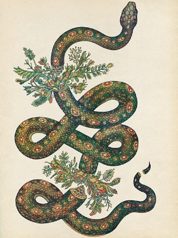 Tuổi Tỵ. Theo tử vi tuần mới của 12 con giáp, từ ngày 9/5 đến 15/5/2022, họa tiểu nhân tạo thị phi, gây sóng gió cho tuổi Tỵ. Con giáp này cần lưu ý lời nói, cử chỉ của mình trong công việc.