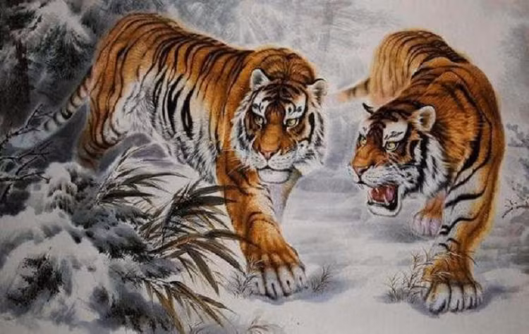 Nói một cách dễ hiểu, bắt đầu từ cuối tháng 4, từ 22/4 đến 1/5, người cầm tinh con Hổ có vận đào hoa hanh thông, may mắn. 