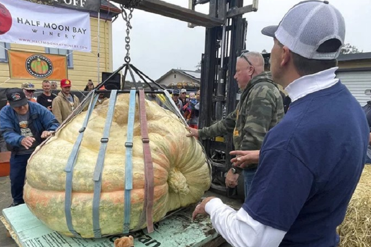 Bi ngo nang hon 1,1 tan lap ky luc tai My