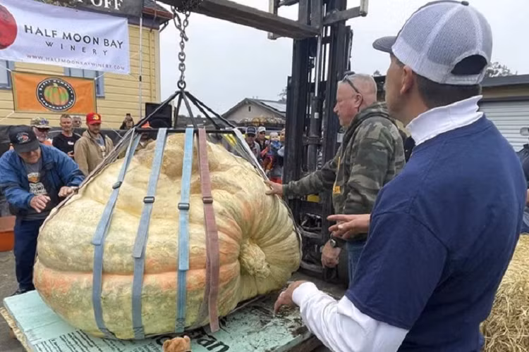 Bi ngo nang hon 1,1 tan lap ky luc tai My