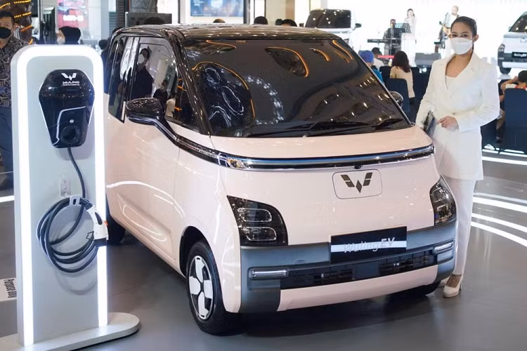 Được phát triển dựa trên cơ sở gầm bệ Global Small Electric Vehicle (GSEV), Wuling EV có kích thước rất nhỏ. Chiếc Wuling EV được trưng bày trong triển lãm IIMS 2022 thuộc phiên bản trục cơ sở dài LWB. Do đó, xe sở hữu chiều dài 2.974 mm, chiều rộng 1.505 mm, chiều cao 1.631 mm, chiều dài cơ sở 2.010 mm và trọng lượng 860 kg.