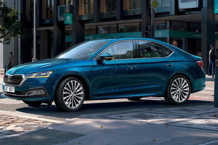 Theo kế hoạch, trong giai đoạn đầu, Skoda sẽ bán 4 mẫu xe nhập khẩu châu Âu tại Việt Nam là Karoq, Kodiaq, Superb và Skoda Octavia 2022 mới. Sang năm 2024, khi nhà máy ở tỉnh Quảng Ninh được xây xong, Skoda sẽ đưa 2 mẫu xe Kushaq và Slavia lên dây chuyền lắp ráp tại Việt Nam. Đến năm 2025, Skoda sẽ tiếp tục bán 2 mẫu ôtô điện là Enyaq iV và Enyaq Coupe iV về dưới dạng xe nhập khẩu nguyên chiếc.