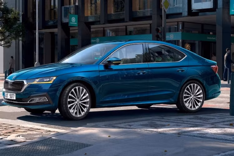 Theo kế hoạch, trong giai đoạn đầu, Skoda sẽ bán 4 mẫu xe nhập khẩu châu Âu tại Việt Nam là Karoq, Kodiaq, Superb và Skoda Octavia 2022 mới. Sang năm 2024, khi nhà máy ở tỉnh Quảng Ninh được xây xong, Skoda sẽ đưa 2 mẫu xe Kushaq và Slavia lên dây chuyền lắp ráp tại Việt Nam. Đến năm 2025, Skoda sẽ tiếp tục bán 2 mẫu ôtô điện là Enyaq iV và Enyaq Coupe iV về dưới dạng xe nhập khẩu nguyên chiếc.