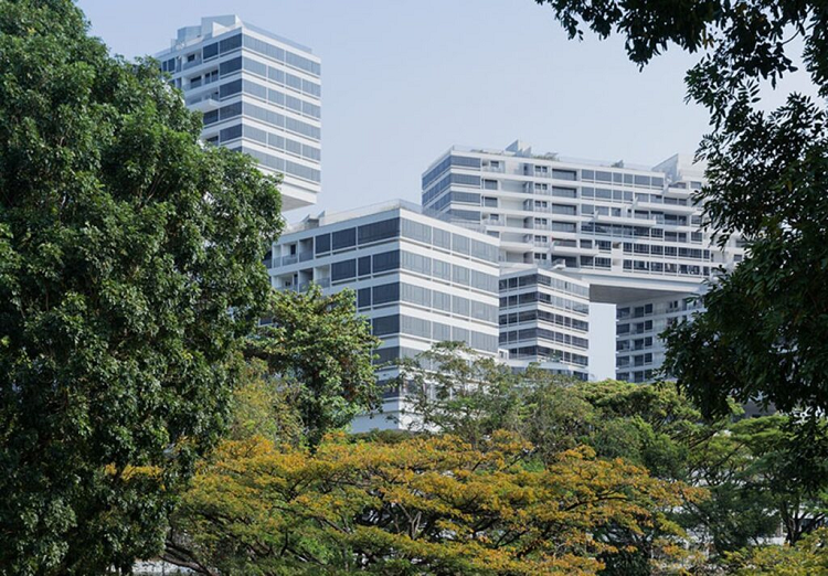 Sung sung 31 khoi chung cu xep tang nhu to ong co mot khong hai-Hinh-2